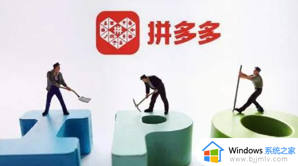 拼多多商家版登录入口在哪找_拼多多商家网页版登录网址最新