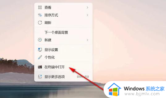 windows11无法登陆onedrive怎么办_windows11登陆不了onedrive如何解决