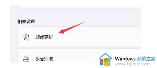 win11浏览器闪屏怎么办_win11打开浏览器就闪屏修复方法