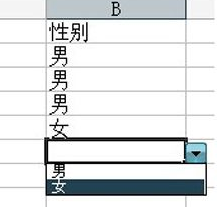 excel下拉菜单如何制作_excel制作下拉菜单的方法