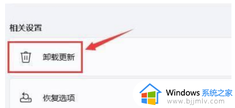 电脑重装系统win11完系统就黑屏如何修复