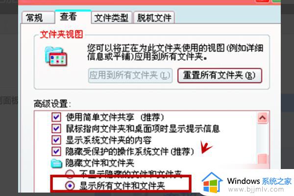 windows电脑插入u盘有些文件不显示怎么解决