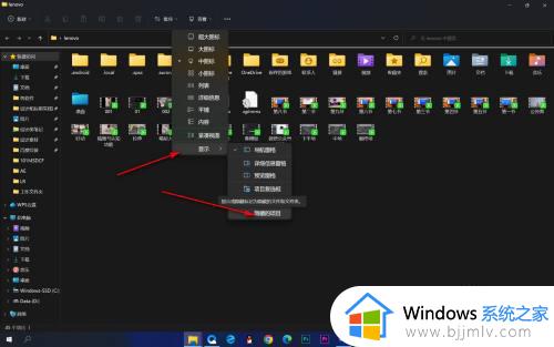 windows11显示隐藏文件夹设置方法_windows11怎么查看隐藏文件