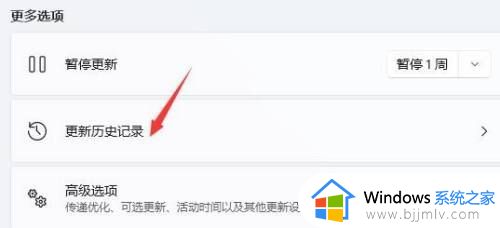 win11更新后闪屏无法控制怎么办_win11更新后桌面闪屏修复方法