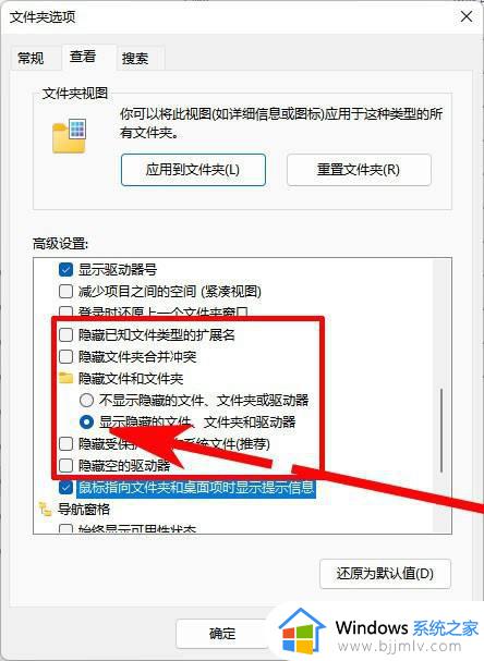 win11 显示隐藏文件夹的方法_win11文件隐藏了怎么显示出来