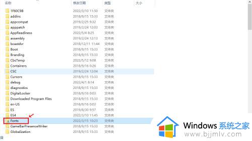 w10字体怎么安装到电脑_怎么装字体win10