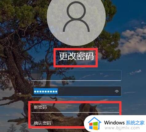 win11不设密码的登录方法_win11登录不用密码如何设置