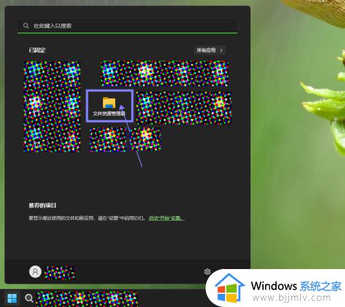 win11查看文件扩展名的方法 win11如何查看文件的扩展名