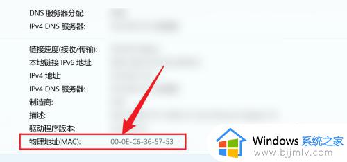 win11的mac地址怎么查_win11怎么看mac地址