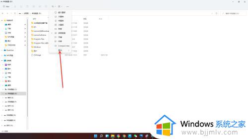 win11打开隐藏文件夹设置方法_win11怎么打开隐藏文件夹