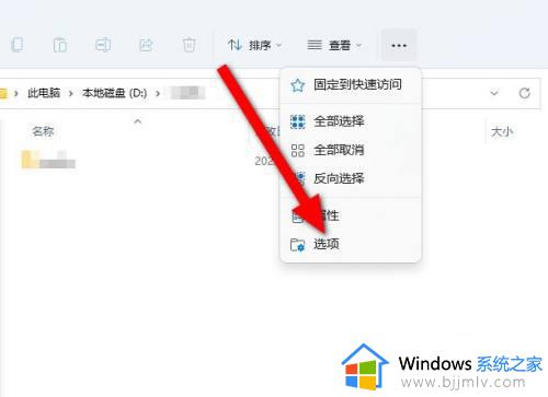 win11文件扩展名怎么调整出来_win11文件扩展名如何显示出来