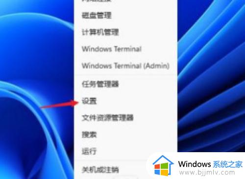 win11手动ip地址设置参数方法 win11手动设置ip地址怎么填