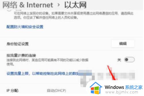 win11手动ip地址设置参数方法_win11手动设置ip地址怎么填