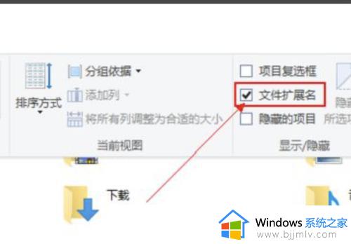 win10怎么打开文件后缀名_win10系统如何打开文件后缀