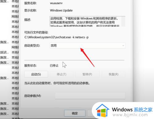 window11自动更新怎么关闭_window11永久关闭自动更新教程