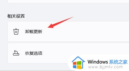 win11更新后屏幕闪烁怎么办_win11更新后闪屏修复方法