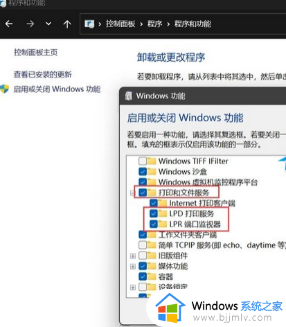 0×00000709打印机错误win11怎么回事 windows11连接打印机0x0000709的解决方法