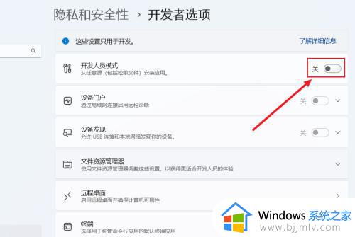 win11开发者模式怎么打开_win11电脑如何打开开发者模式