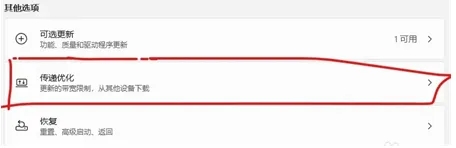 win11的传递优化需不需要关闭_win11的传递优化在哪里关闭