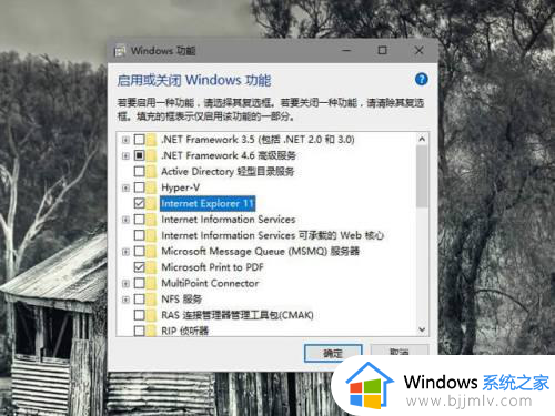 win10有2个edge浏览器怎么办_win10电脑上有两个edge浏览器如何解决