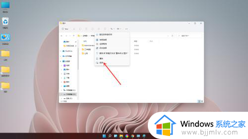 win11电脑怎么显示文件后缀名_win11显示文件扩展名的方法