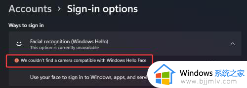 windows11设置不了脸部识别怎么办_windows11人脸识别设置不了如何处理