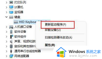 win11更新后键盘全部没反应怎么办？更新win11后键盘用不了修复方法