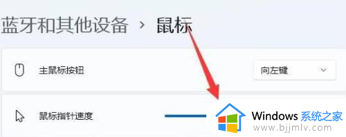 windows11鼠标dpi怎么调?win11调整鼠标dpi数值的方法