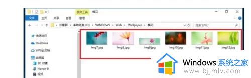 win10系统壁纸在哪个文件夹_win10的壁纸存在什么位置