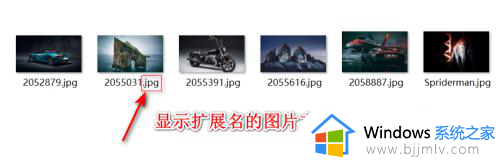 显示文件后缀win11的方法_win11如何显示文件后缀名