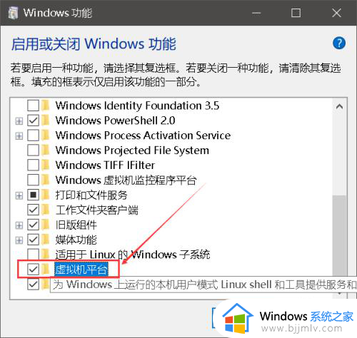 windows功能虚拟机平台怎么开启_windows功能虚拟机平台选项如何打开