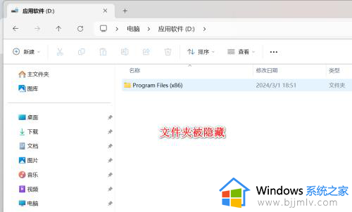 隐藏文件夹怎么显示win11 win11隐藏文件夹的显示步骤