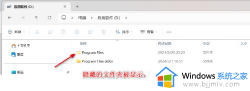 隐藏文件夹怎么显示win11?win11隐藏文件夹的显示步骤