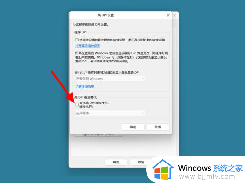 win11软件模糊咋办？win11电脑软件显示模糊修复方法