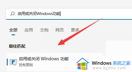 win11无法安装wsa的解决方法_win11安装wsa不成功怎么办