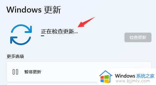 win11分辨率锁定无法调整怎么办_win11分辨率锁定了没法调处理方法