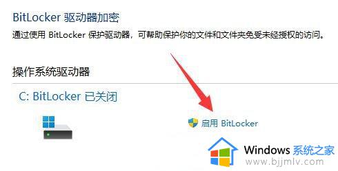 win11硬盘密码设置与解除怎么设置_win11电脑硬盘密码设置与解除教程