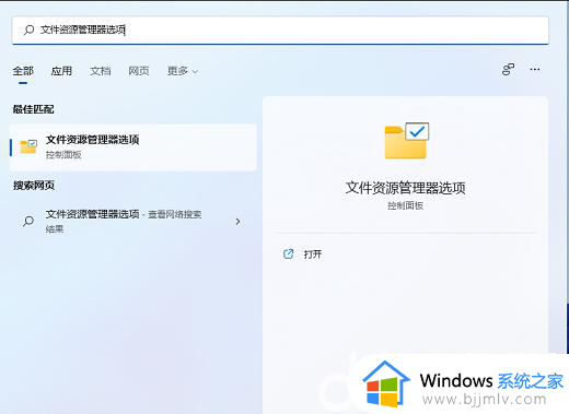 win11如何更改文件类型_win11更改文件类型后缀步骤