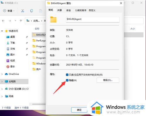 win11隐藏文件夹怎么显示_win11显示隐藏的文件设置方法