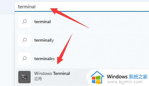 win11电脑一直弹出找不到文件wt.exe怎么办_win11总是弹出找不到文件wt.exe处理方法