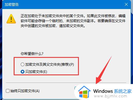 win11怎么给文档设置密码_win11文档加密最简单的方法