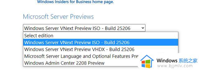 微软 Windows Server LTSC 预览版 25217 的 ISO 镜像开放下载