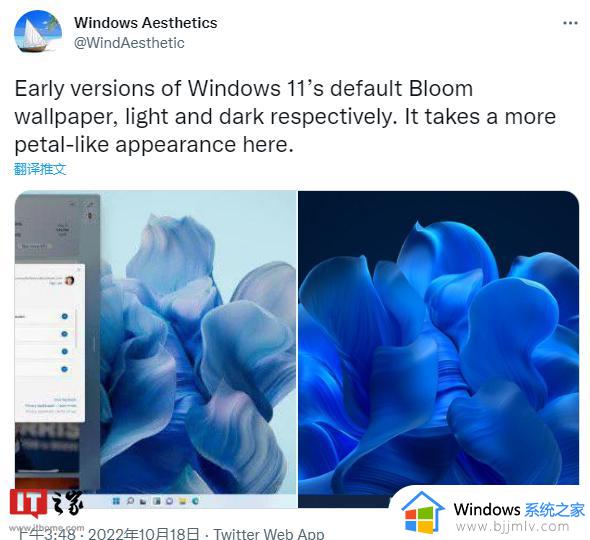 早期版 Win11“Bloom”主题壁纸曝光