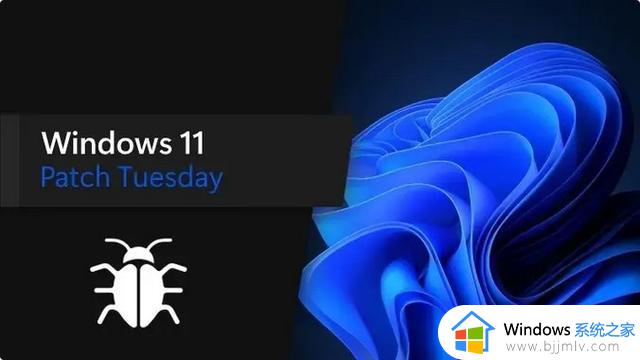 连夜降级win10？微软Win11更新又出bug，网络故障瘫痪