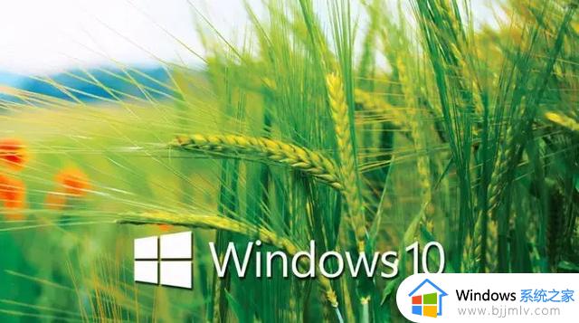 连夜降级win10？微软Win11更新又出bug，网络故障瘫痪