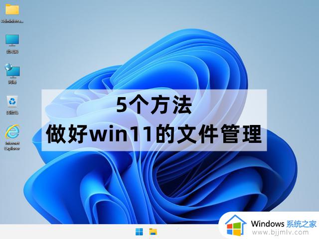 Windows 11怎么做好文件管理？试试这5个方法