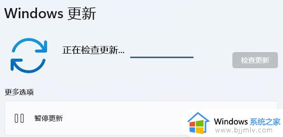 win11系统内核出现问题怎么办_win11系统内核错误解决方案