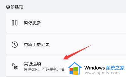 win11无法启动地平线4怎么办_win11玩不了地平线4的解决方法