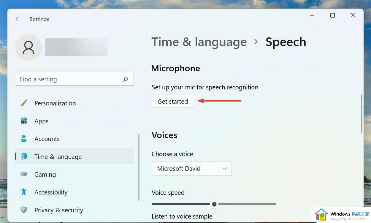 win11语音输入不能用怎么办_win11无法语音输入修复方法