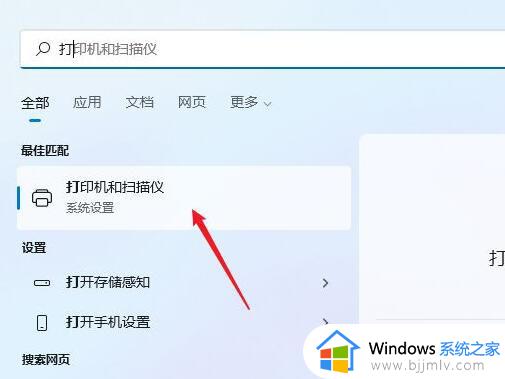 win11打印机驱动安装不上怎么办_win11打印机驱动安装不了处理方法